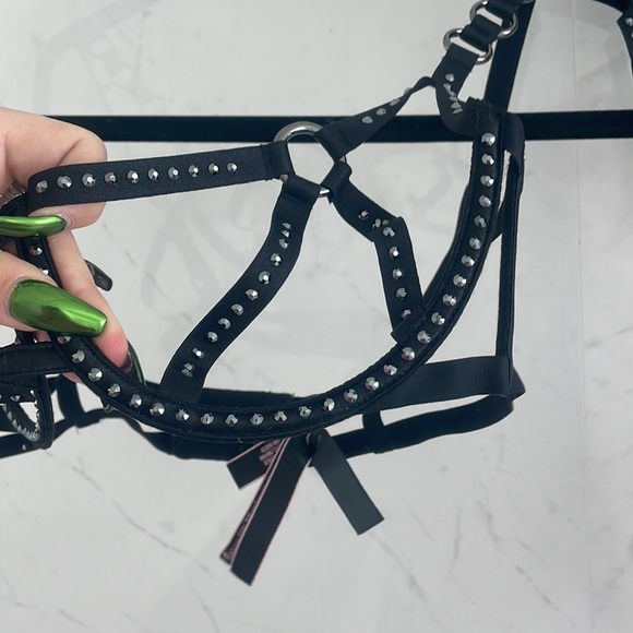 Victoria Secret Swarovski Lingerie - Picture 3 of 11